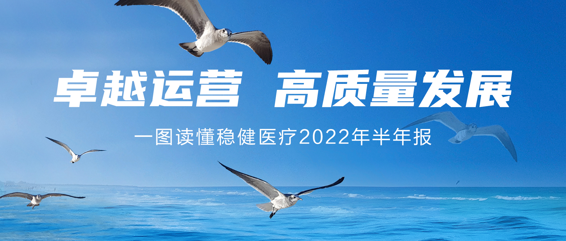 一图读懂AG尊龙医疗2022年半年报